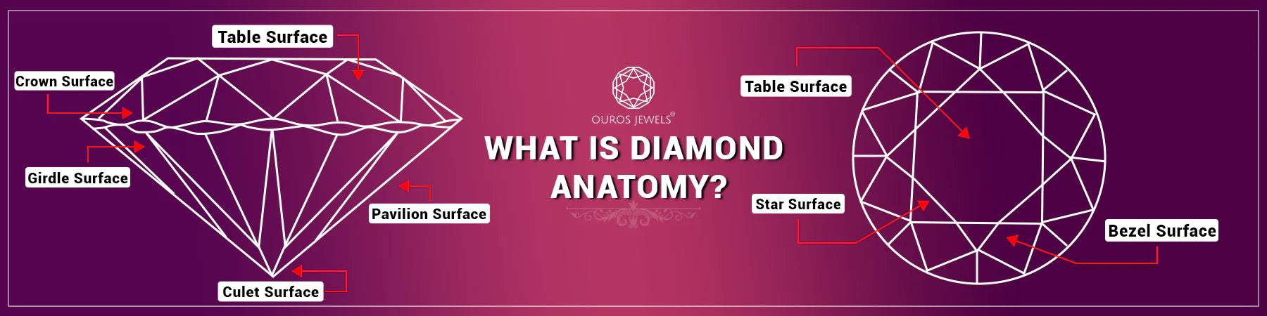 Diamond anatomy represents the sparkle reflection ability decided with the making and crafting process