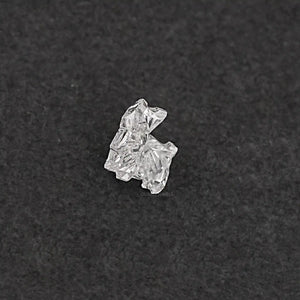 antique shape yorkie lab diamond in VS clarity